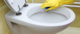 How to remove rust from a toilet: folk remedies and store-bought chemicals