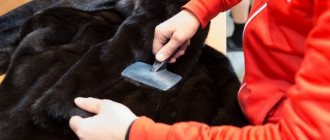 Cleaning a fur coat