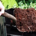 What can you put in compost?