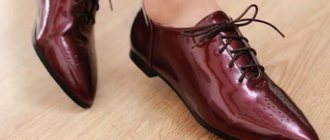 Чтобы повысить срок эксплуатации каждой пары, следует знать, как правильно чистить кожаную обувь