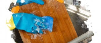 Disinfection of cutting board_result