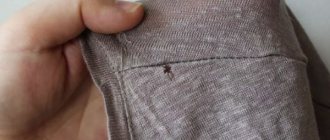 Hole in sweater