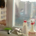 Effective methods for removing mold on windows, window sills and slopes
