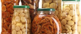 Storing pickled mushrooms: important recommendations
