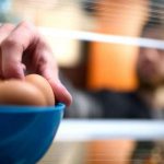 Хранение вареных яиц в холодильнике