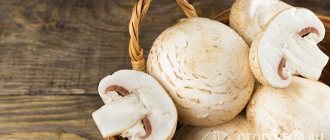 You can store champignons at home in the refrigerator or freezer. The main thing is to prepare the mushrooms correctly, choose the right container and create a favorable microclimate 