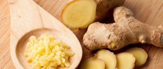 Ginger is a unique product that has a spicy taste, pleasant aroma, and is also rich in vitamins, micro- and macroelements. To preserve it without losing its beneficial properties, it is important to organize storage correctly. 