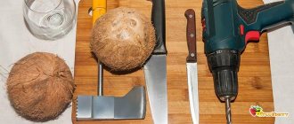 Coconut opening tool