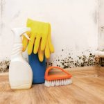 Getting rid of mold in the apartment using folk remedies - 9 effective ways