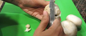 how to clean store-bought champignons before cooking