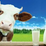 Как греть молоко в микроволновке — пошагово