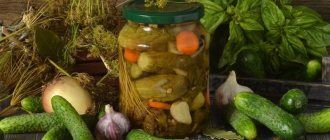 How to store pickles in an apartment: terms and conditions, useful tips