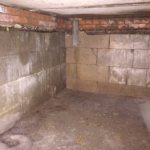 How to get rid of mold in the basement and crawl space