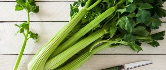 How to properly peel celery and what to cook from it