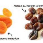 How are dried fruits produced?
