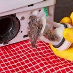 How to clean the filter in a washing machine yourself