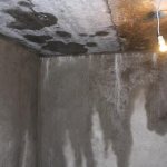 How to eliminate moisture in a cellar or basement