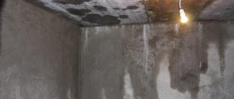 How to eliminate moisture in a cellar or basement