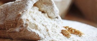 How, in what and where to store flour at home to prevent bugs
