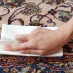 How to dry a carpet