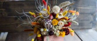 Is it possible to keep dried flowers at home?