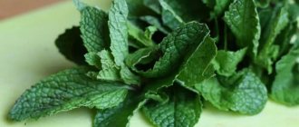 Mint against mice