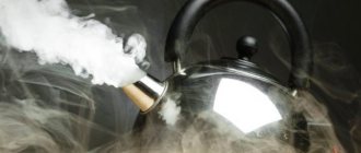 Degreasing dishes with steam