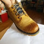 Treating shoes with a water-repellent agent