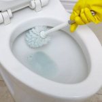 whiten toilet bowl at home quickly