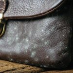 mold on leather bag