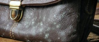 mold on leather bag