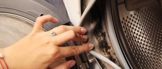 Mold on the rubber seal of the washing machine