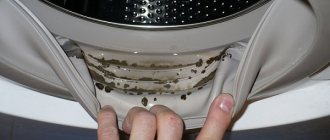 Mold in the washing machine
