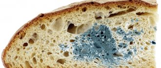 Mold inside bread