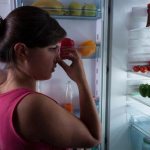odor absorber for refrigerators