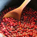 benefits of lingonberries