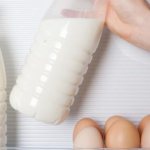 Rules for storing milk: how long is fresh raw and pasteurized milk stored?