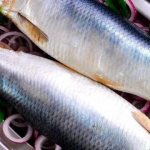 Rules for storing salted fish in brine and dry in the refrigerator or freezer