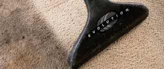 vacuum the carpet before cleaning with vanish