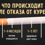 Сколько нужно времени для выведения никотина - Веримед