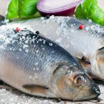 salted herring