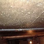Eliminating condensation in the cellar is more difficult than preventing its occurrence