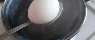 Яйцо и кипящая вода
