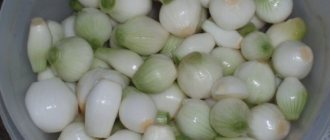 Preparing onions for the winter - the best recipes for preserving onions at home